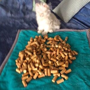 CORKS FOR CRAFTS ❤️